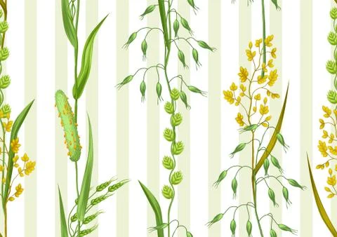 Seamless pattern with herbs and cereal grass. Floral ornament of meadow plants Stock Illustration