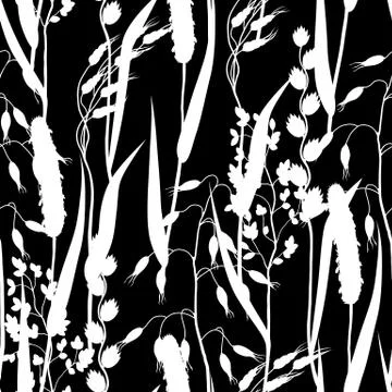 Seamless pattern with herbs and cereal grass silhouettes. Floral ornament of Illustrazione stock