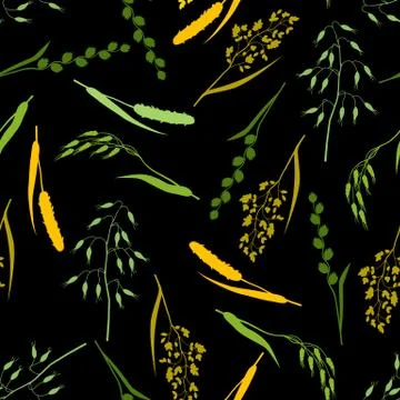 Seamless pattern with herbs and cereal grass silhouettes. Floral ornament of Stock Illustration