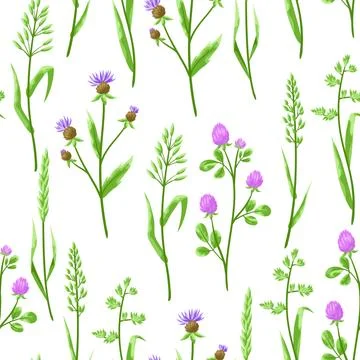 Seamless pattern with herbs and cereal grass. Stock Illustration