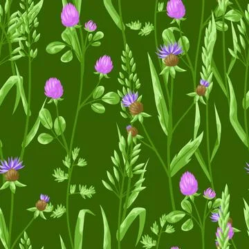 Seamless pattern with herbs and cereal grass. Stock Illustration