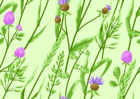 Seamless pattern with herbs and cereal grass. Stock Illustration