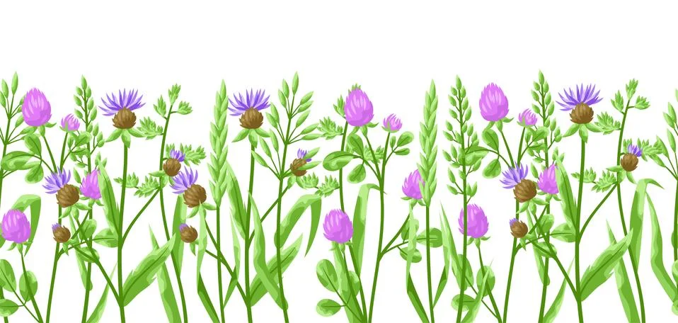 Seamless pattern with herbs and cereal grass. Stock Illustration