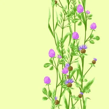 Seamless pattern with herbs and cereal grass. Stock Illustration