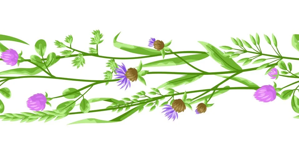 Seamless pattern with herbs and cereal grass. Stock Illustration