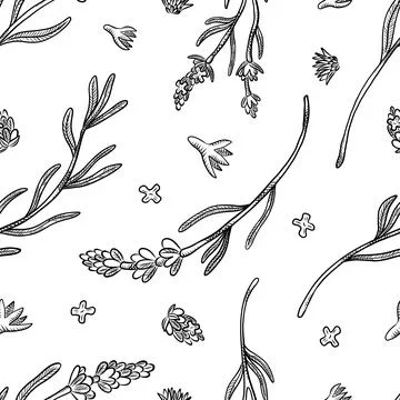 Seamless pattern of herbs and flowers for natural cosmetics design. Vector .. Stock Illustration