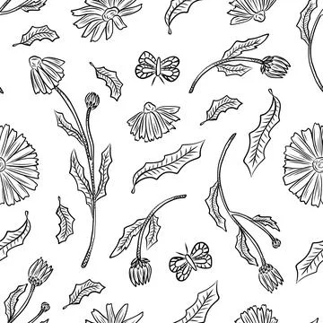 Seamless pattern of herbs and flowers for natural cosmetics design. Vector .. Stock Illustration