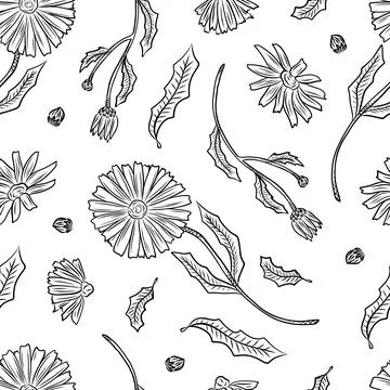 Seamless pattern of herbs and flowers for natural cosmetics design. Vector .. Stock Illustration