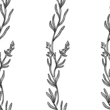 Seamless pattern of herbs and flowers for natural cosmetics design. Vector .. Stock Illustration