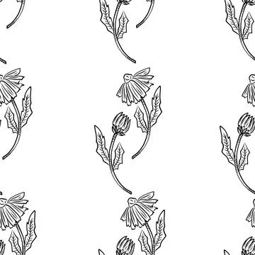 Seamless pattern of herbs and flowers for natural cosmetics design. Vector .. Stock Illustration