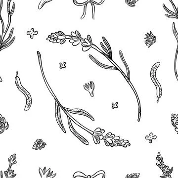 Seamless pattern of herbs and flowers for natural cosmetics design. Vector .. Stock Illustration