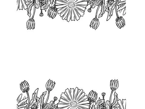 Seamless pattern of herbs and flowers for natural cosmetics design. Vector .. Stock Illustration