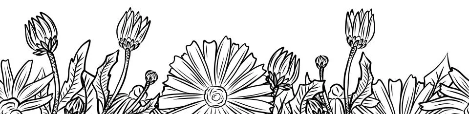 Seamless pattern of herbs and flowers for natural cosmetics design. Vector .. Stock Illustration