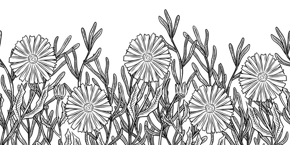Seamless pattern of herbs and flowers for natural cosmetics design. Vector .. Stock Illustration