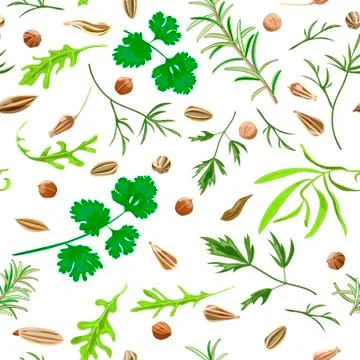 	Seamless pattern herbs and spices.  Stock Illustration