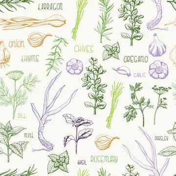 Seamless pattern with herbs and spices Stock Illustration