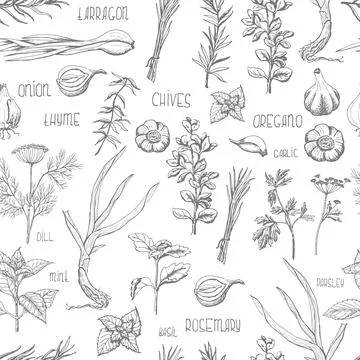 Seamless pattern with herbs and spices Stock Illustration