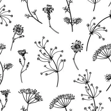 Seamless pattern with herbs. Illustrazione stock