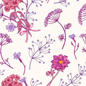 Seamless pattern with herbs. Illustrazione stock