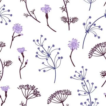 Seamless pattern with herbs. Illustrazione stock
