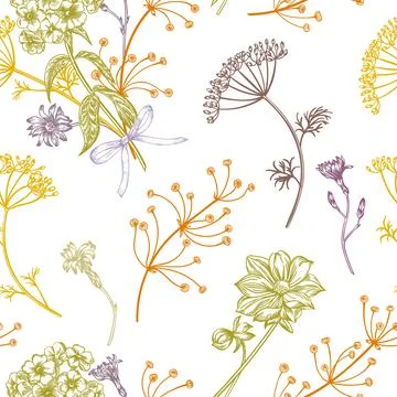 Seamless pattern with herbs. Stock-Illustration