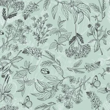 Seamless pattern with herbs light green background Stock Illustration