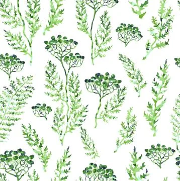 Seamless pattern with herbs, plants and flowers Stock Illustration