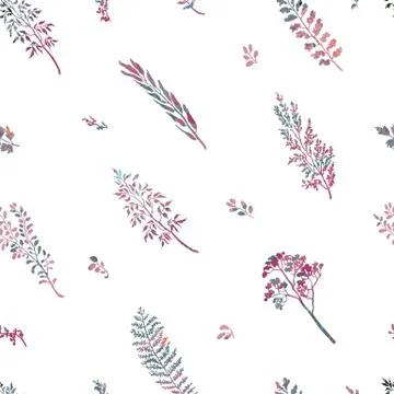 Seamless pattern with herbs, plants and flowers Stock Illustration