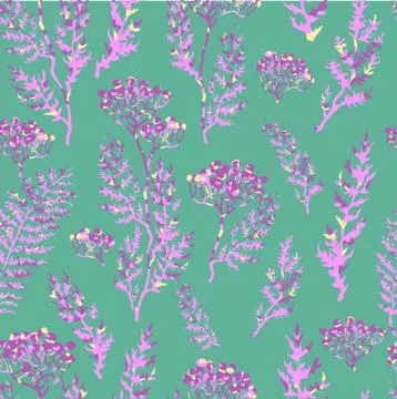 Seamless pattern with herbs, plants and flowers Illustrazione stock