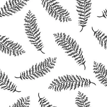 Seamless pattern with herbs, plants and flowers Stock Illustration