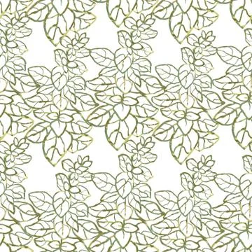 Seamless pattern with herbs, plants and flowers Stock Illustration