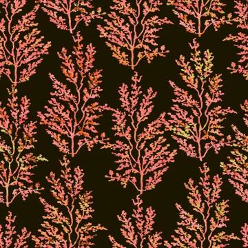 Seamless pattern with herbs, plants Stock Illustration