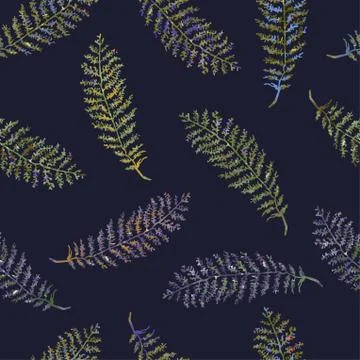 Seamless pattern with herbs, plants Stock Illustration