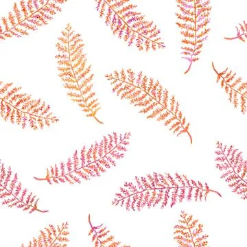 Seamless pattern with herbs, plants Stock Illustration