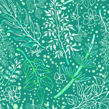 Seamless pattern with herbs, plants Illustrazione stock