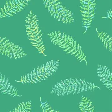 Seamless pattern with herbs, plants Stock Illustration