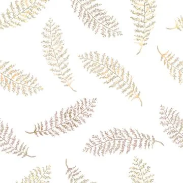 Seamless pattern with herbs, plants Illustrazione stock