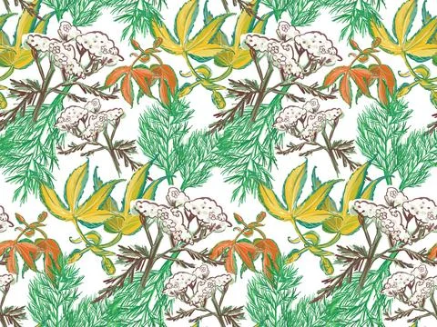 Seamless pattern. Herbs. Vector. Stock Illustration