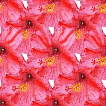 Seamless pattern with hibiscus flower Stock Illustration
