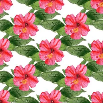 Seamless pattern with hibiscus flower Stock Illustration