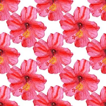 Seamless pattern with hibiscus flower Stock Illustration