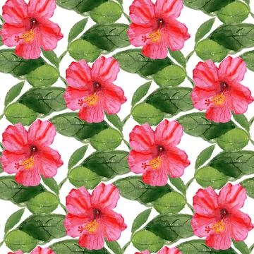 Seamless pattern with hibiscus flower Stock Illustration