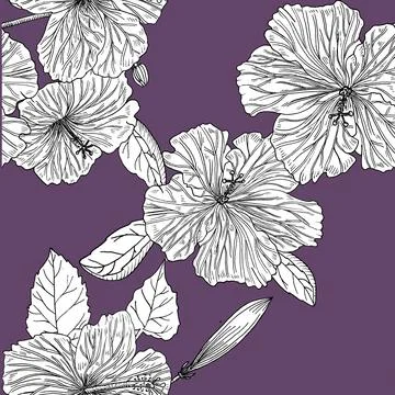 Seamless pattern with hibiscus. Hand drawn. Graphics. Illustrazione stock