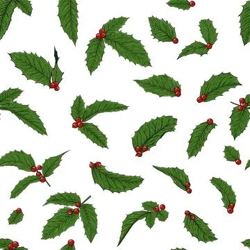 Seamless pattern holly, ilex branch with berry and leaves on white backgrou.. Stock Illustration