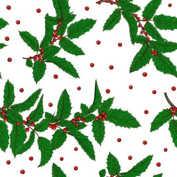 Seamless pattern holly, ilex branch with berry and leaves on white backgrou.. Stock Illustration