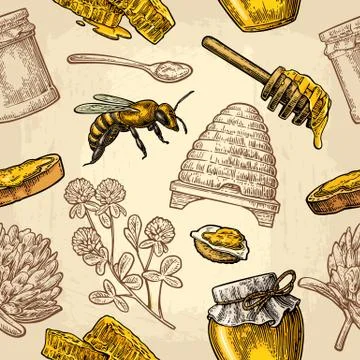 Seamless Pattern with honey, bee, hive, clover, spoon, cracker, honeycomb. 스톡 일러스트