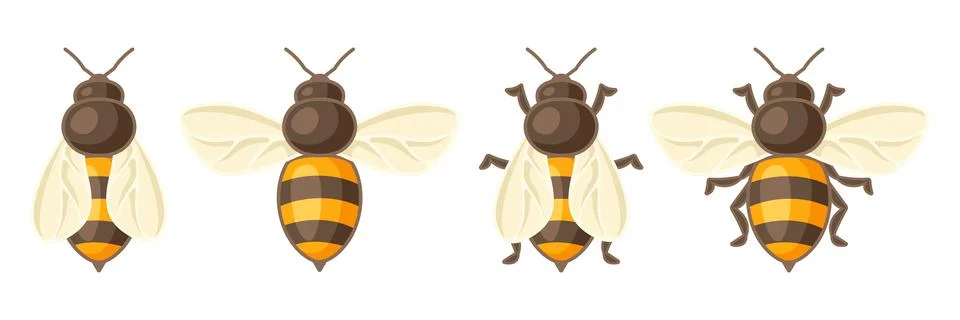 Seamless pattern of honey bees. Image for food and agricultural industry. Stock Illustration