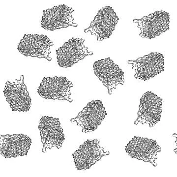 Seamless pattern honeycomb sketch hand drawn Stock Illustration