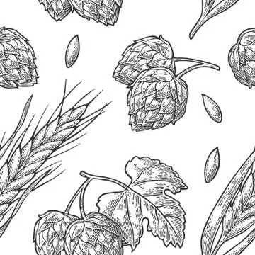 Seamless pattern from hop with leaf and Ear of barley. Stock Illustration