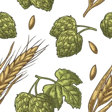 Seamless pattern from hop with leaf and Ear of barley. Stock Illustration